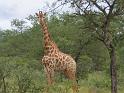 Afrika-feb2006 156